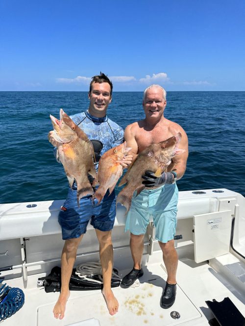 Watt_Speared_hogfish_2023